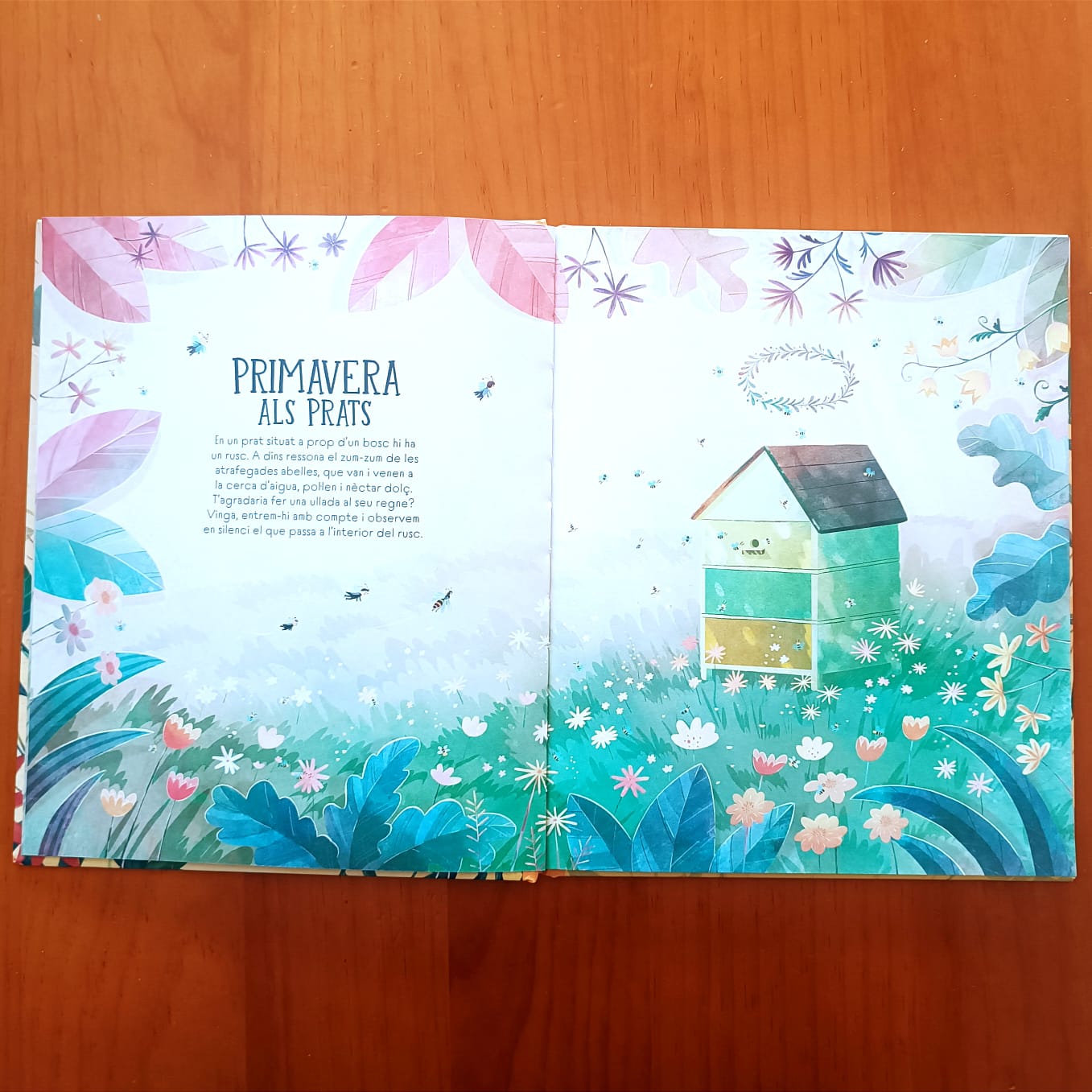 DIARI D'UNA ABELLA — imatge 2