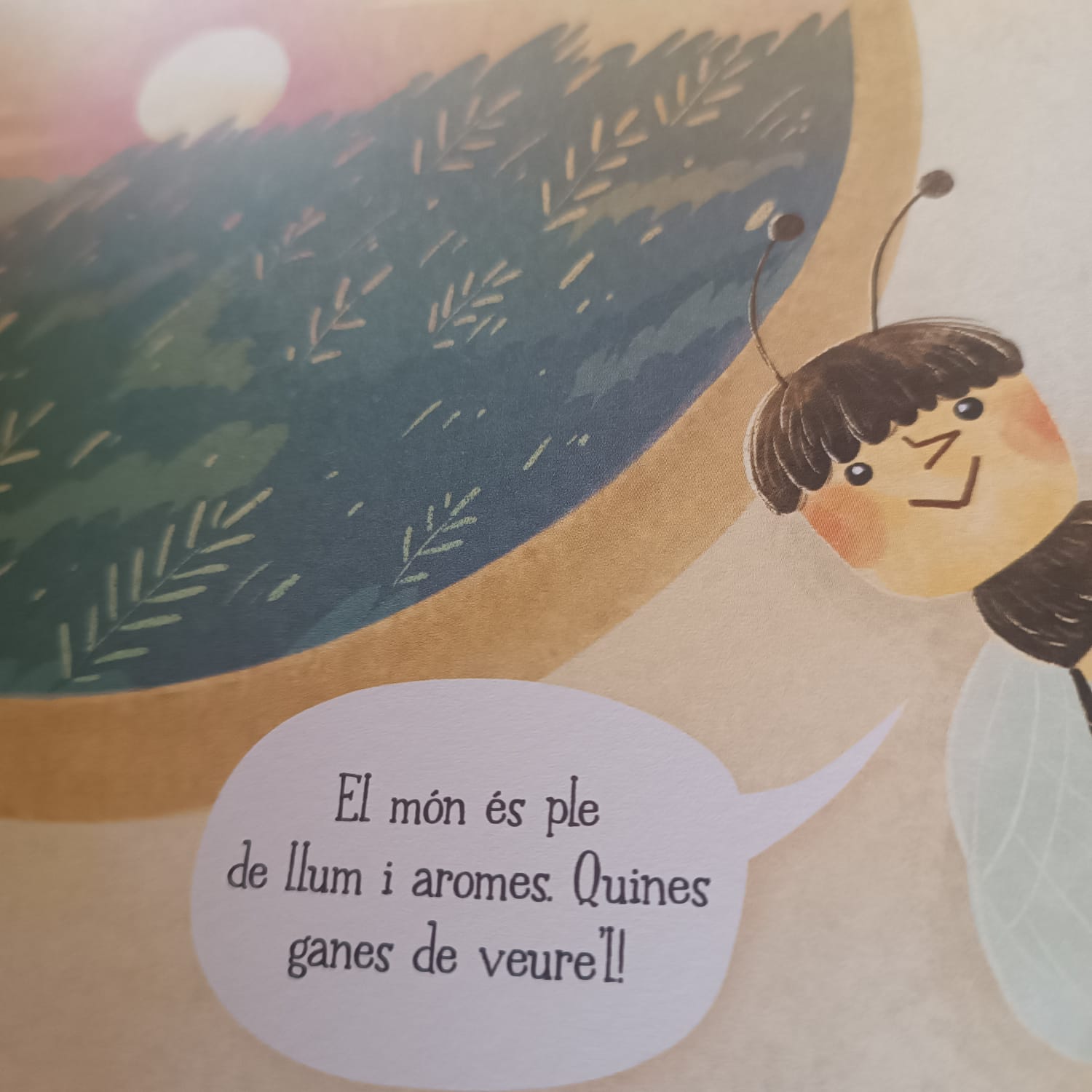 DIARI D'UNA ABELLA — imatge 6