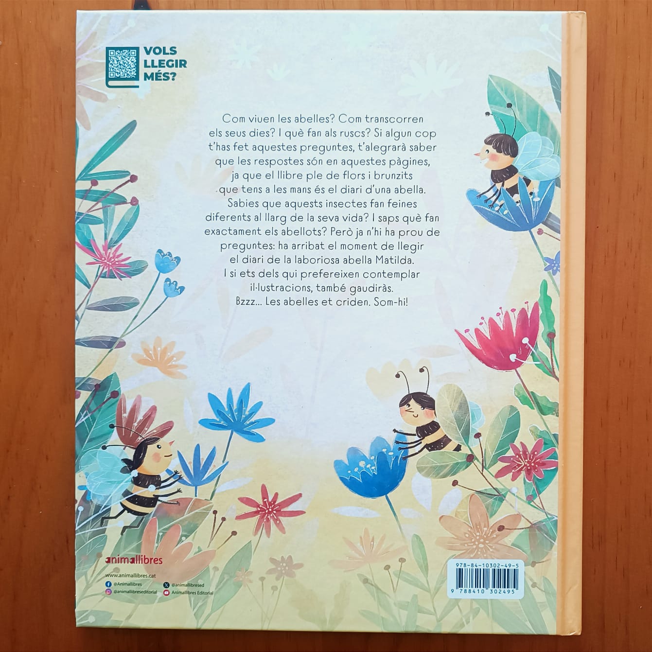DIARI D'UNA ABELLA — imatge 8