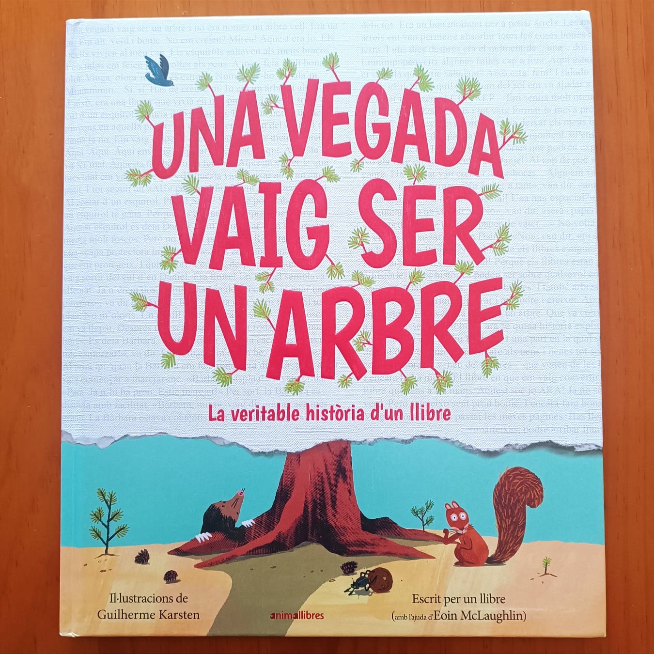 Portada del llibre UNA VEGADA VAIG SER UN ARBRE