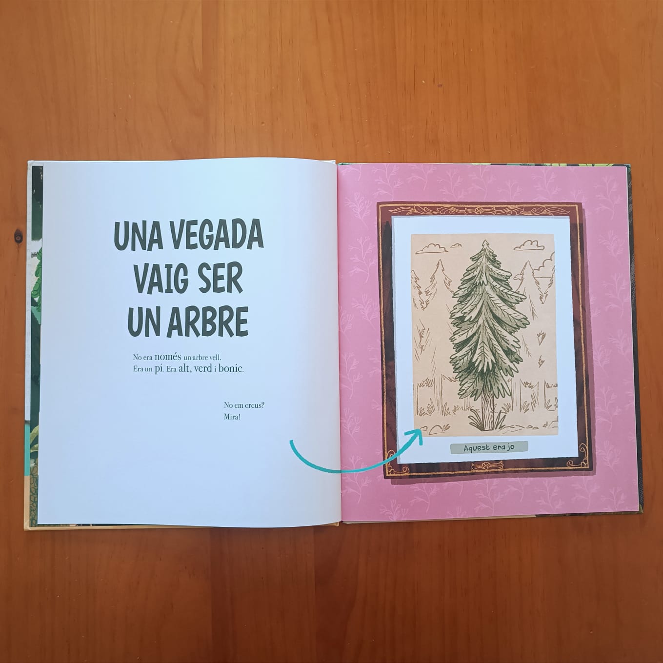 UNA VEGADA VAIG SER UN ARBRE — imatge 2