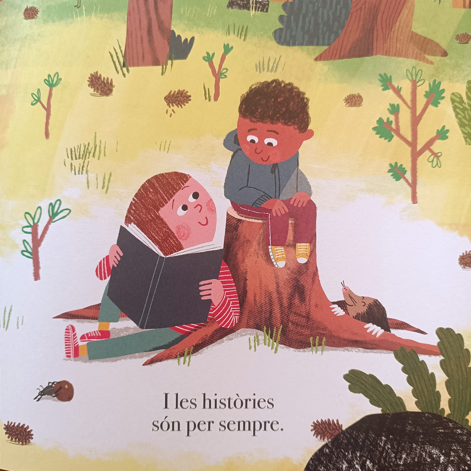UNA VEGADA VAIG SER UN ARBRE — imatge 3