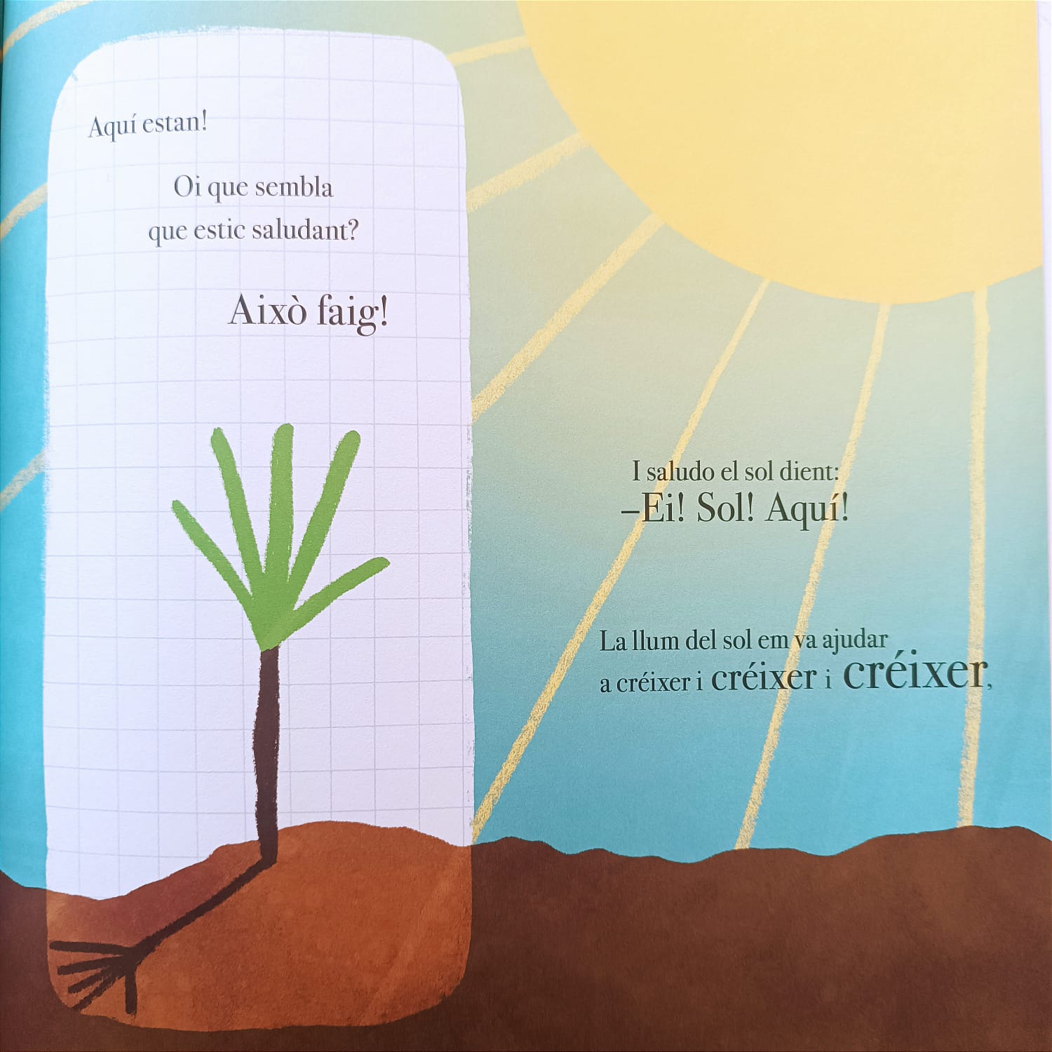 UNA VEGADA VAIG SER UN ARBRE — imatge 5