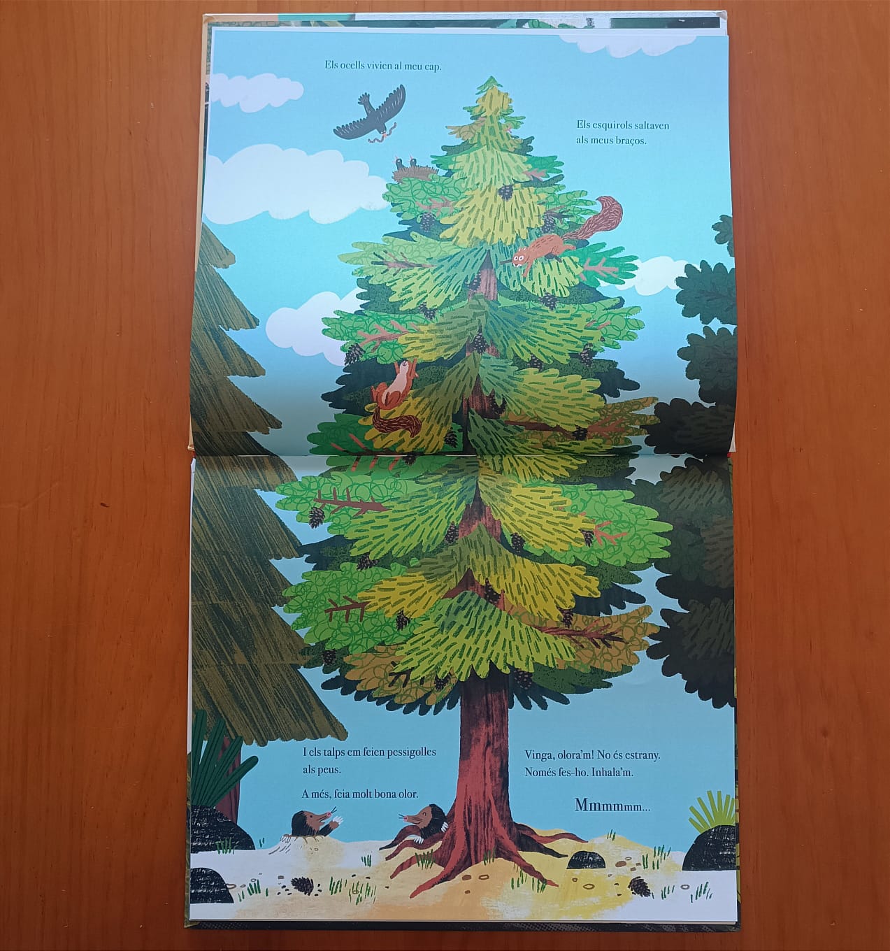 UNA VEGADA VAIG SER UN ARBRE — imatge 8