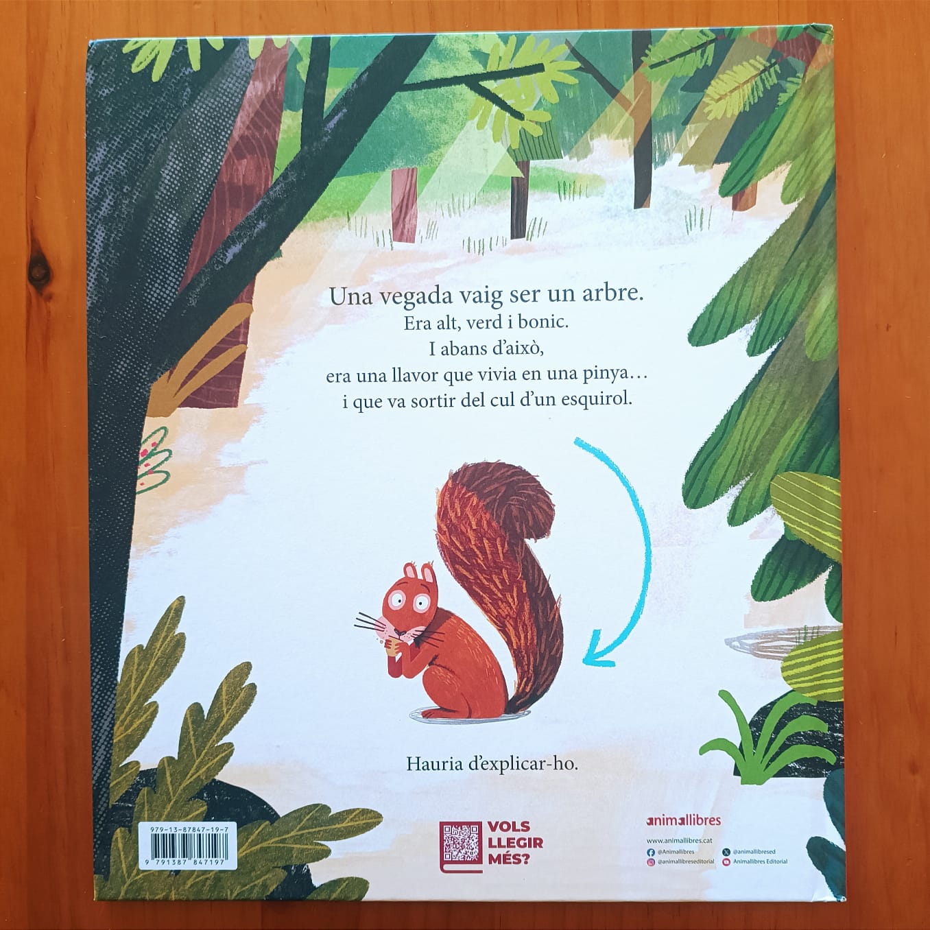 UNA VEGADA VAIG SER UN ARBRE — imatge 9