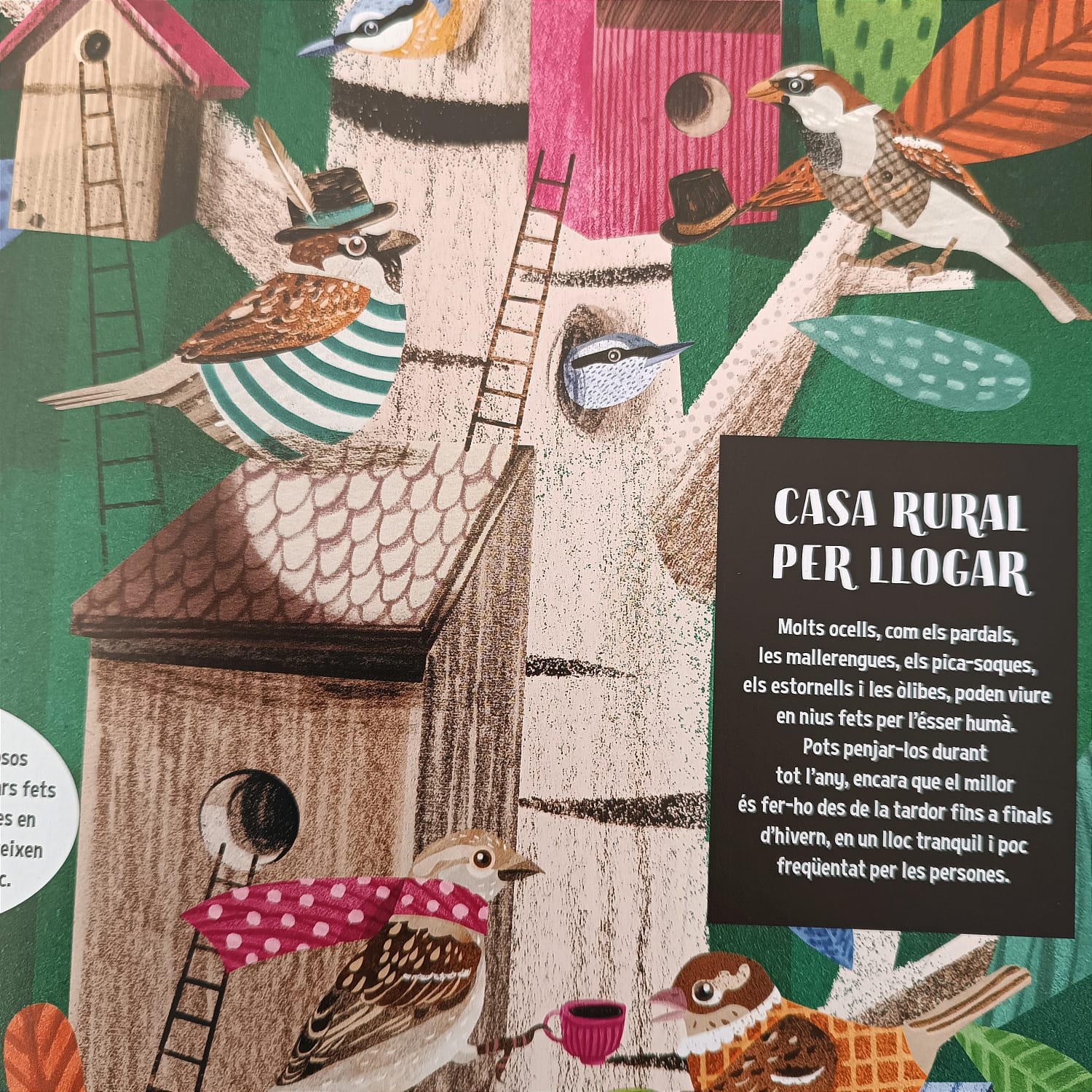 EL LLIBRE DELS OCELLS — imatge 2