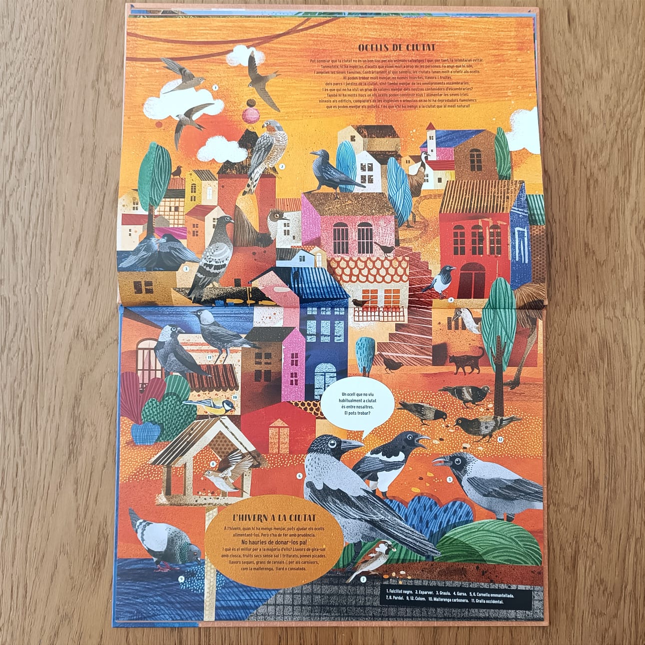 EL LLIBRE DELS OCELLS — imatge 5