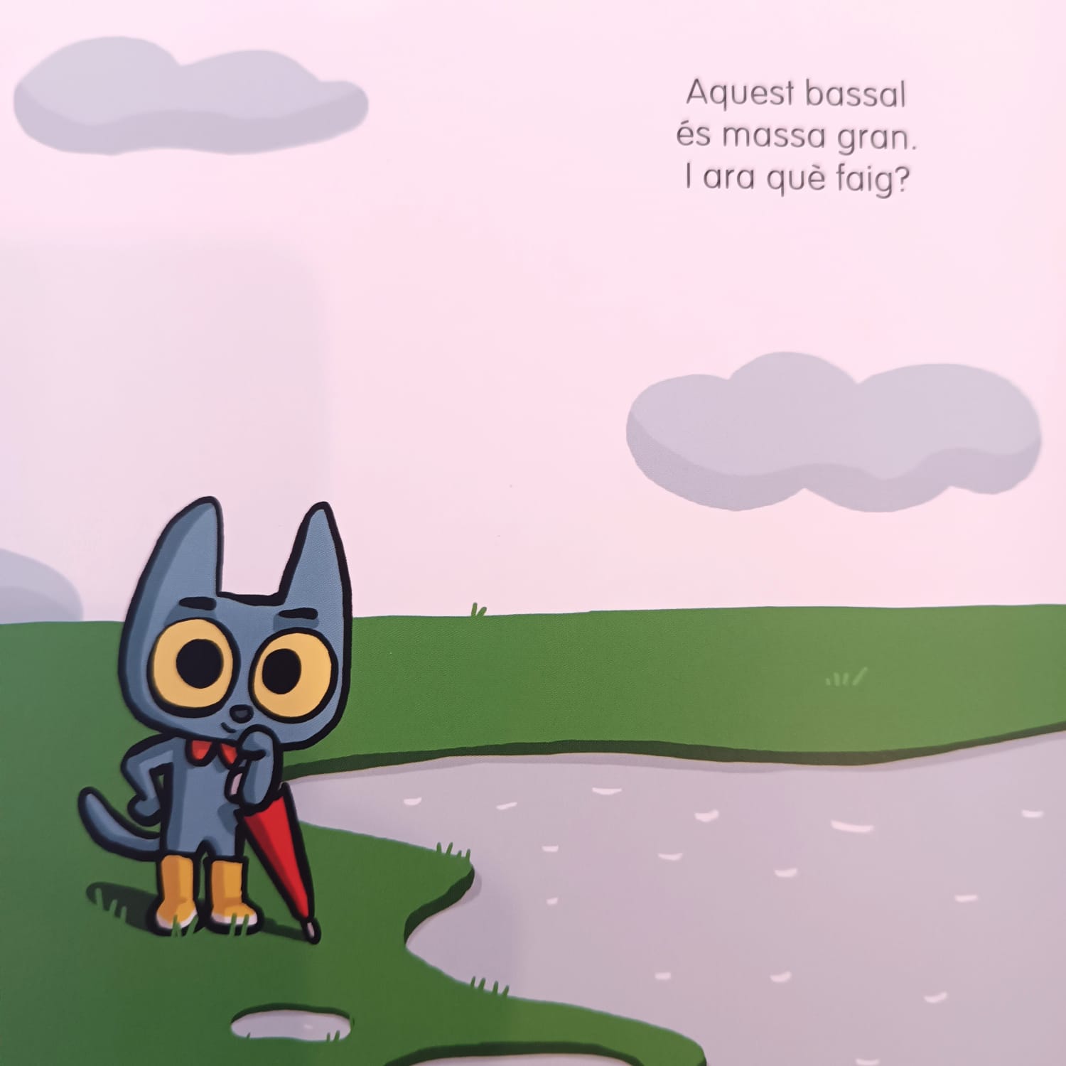 MIXIFÚ I LA PLUJA — imatge 3