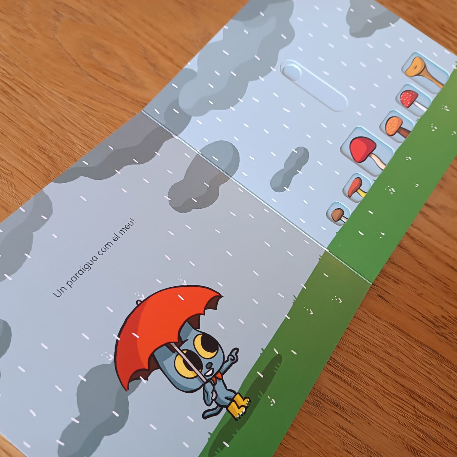 MIXIFÚ I LA PLUJA — imatge 5