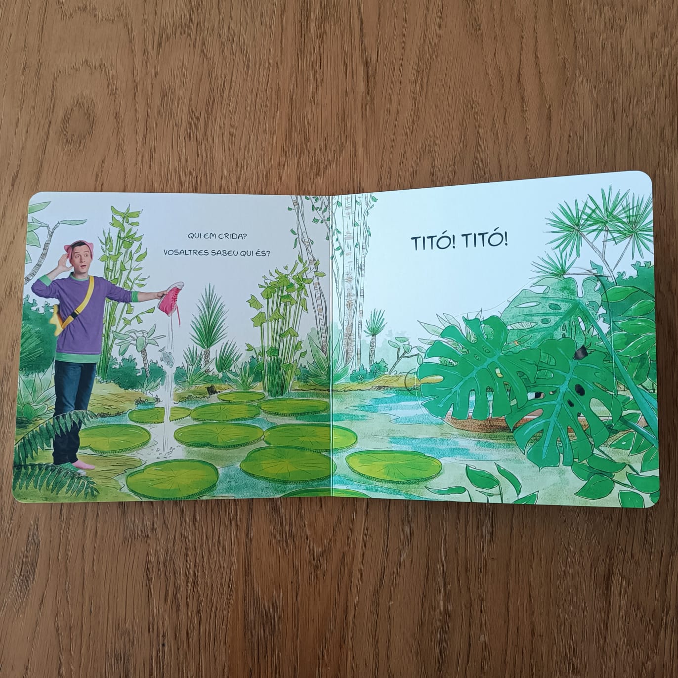 TITÓ. EXCURSIÓ A LA SELVA — imatge 3