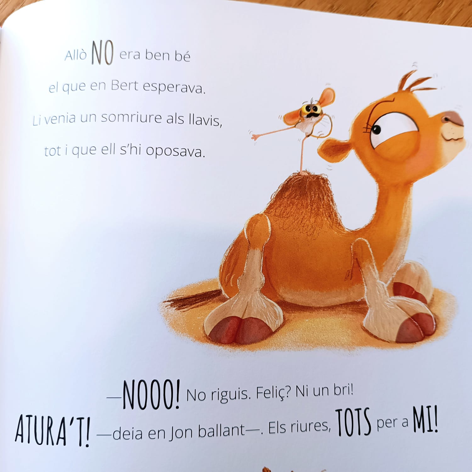 EL DROMEDARI QUE TENIA MAL HUMOR — imatge 4