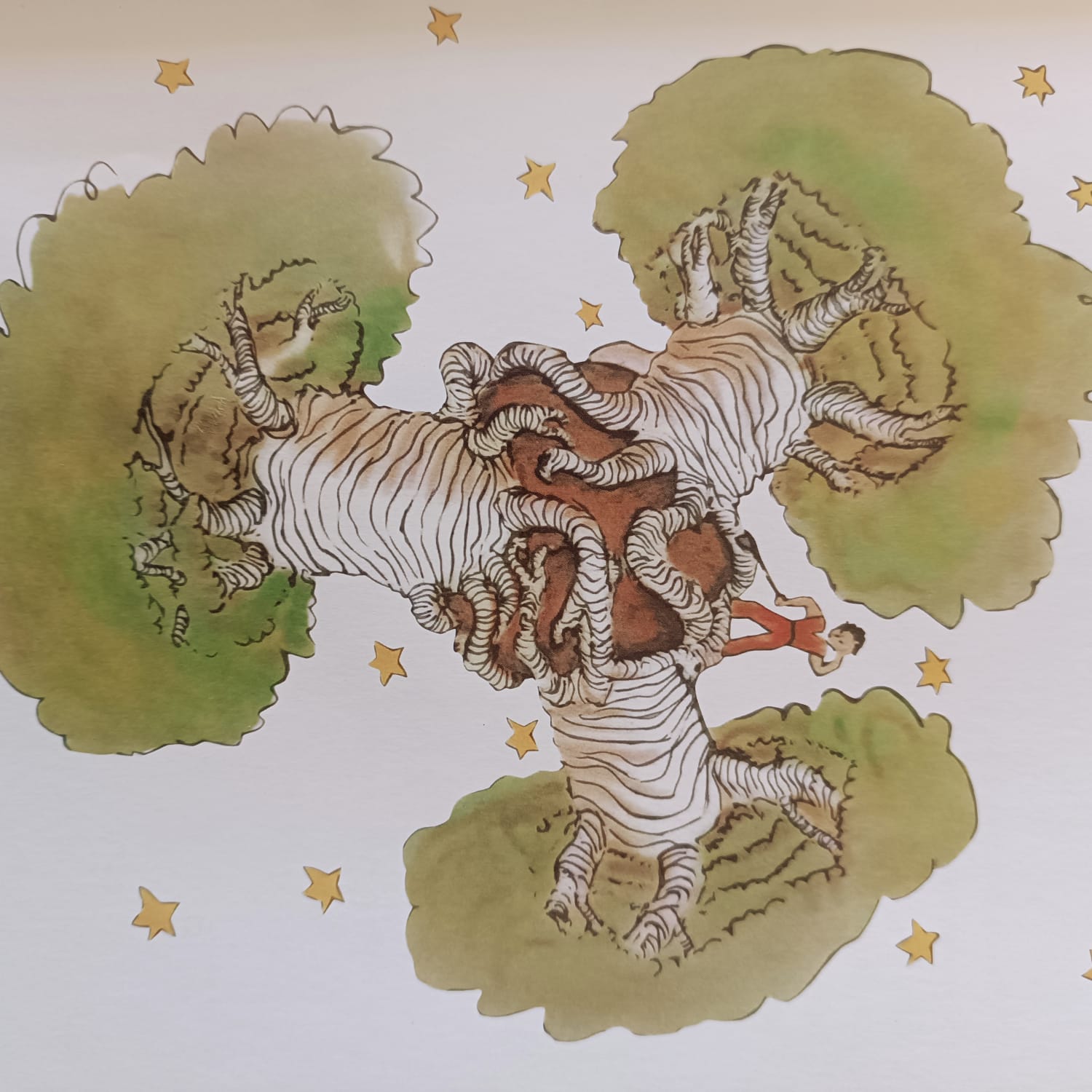 EL MEU PRIMER PETIT PRÍNCEP — imatge 2
