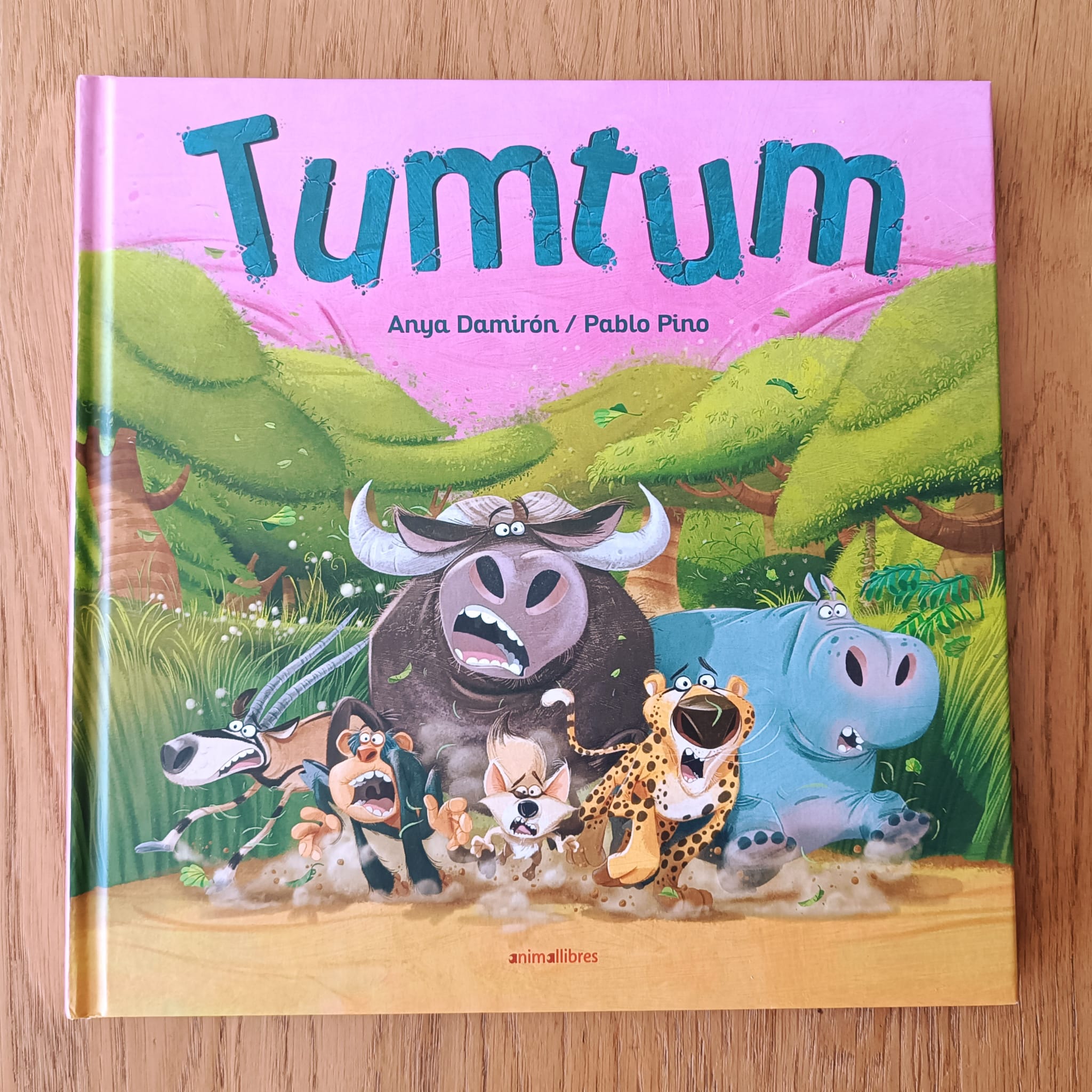 Portada del llibre TUMTUM