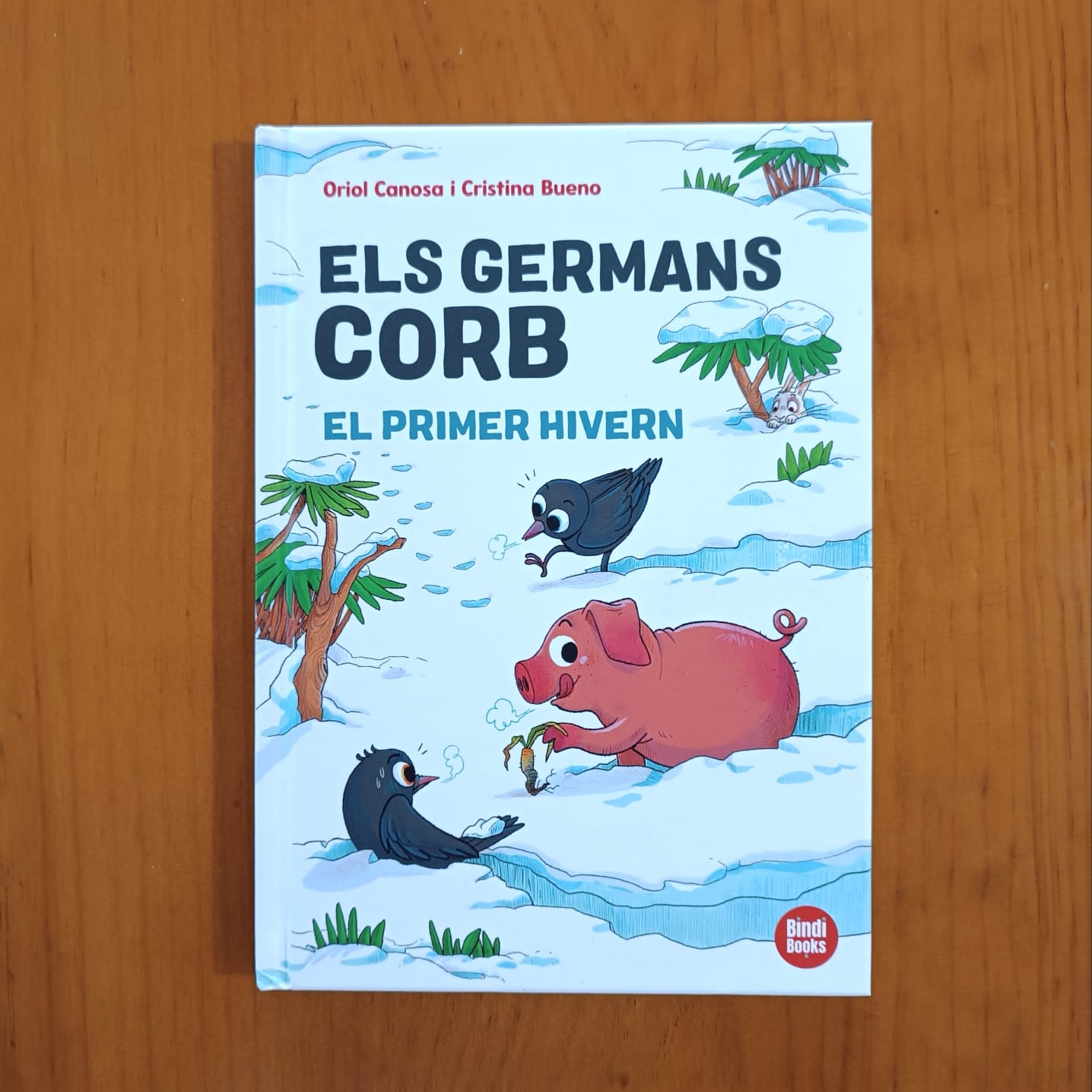 Portada del llibre ELS GERMANS CORB. EL PRIMER HIVERN