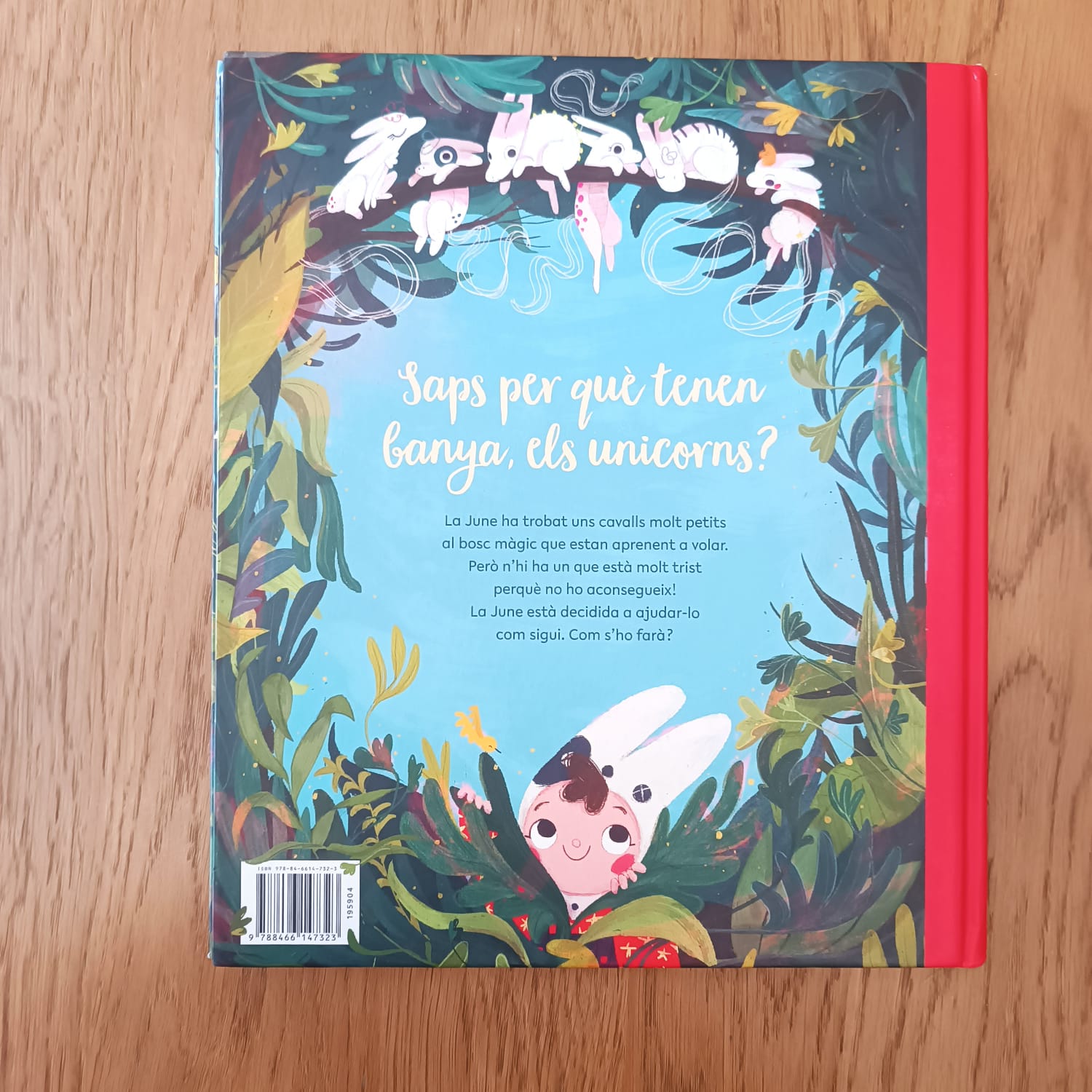 VET AQUÍ... LA BANYA DE L'UNICORN — imatge 6